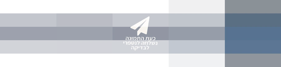 לוגו